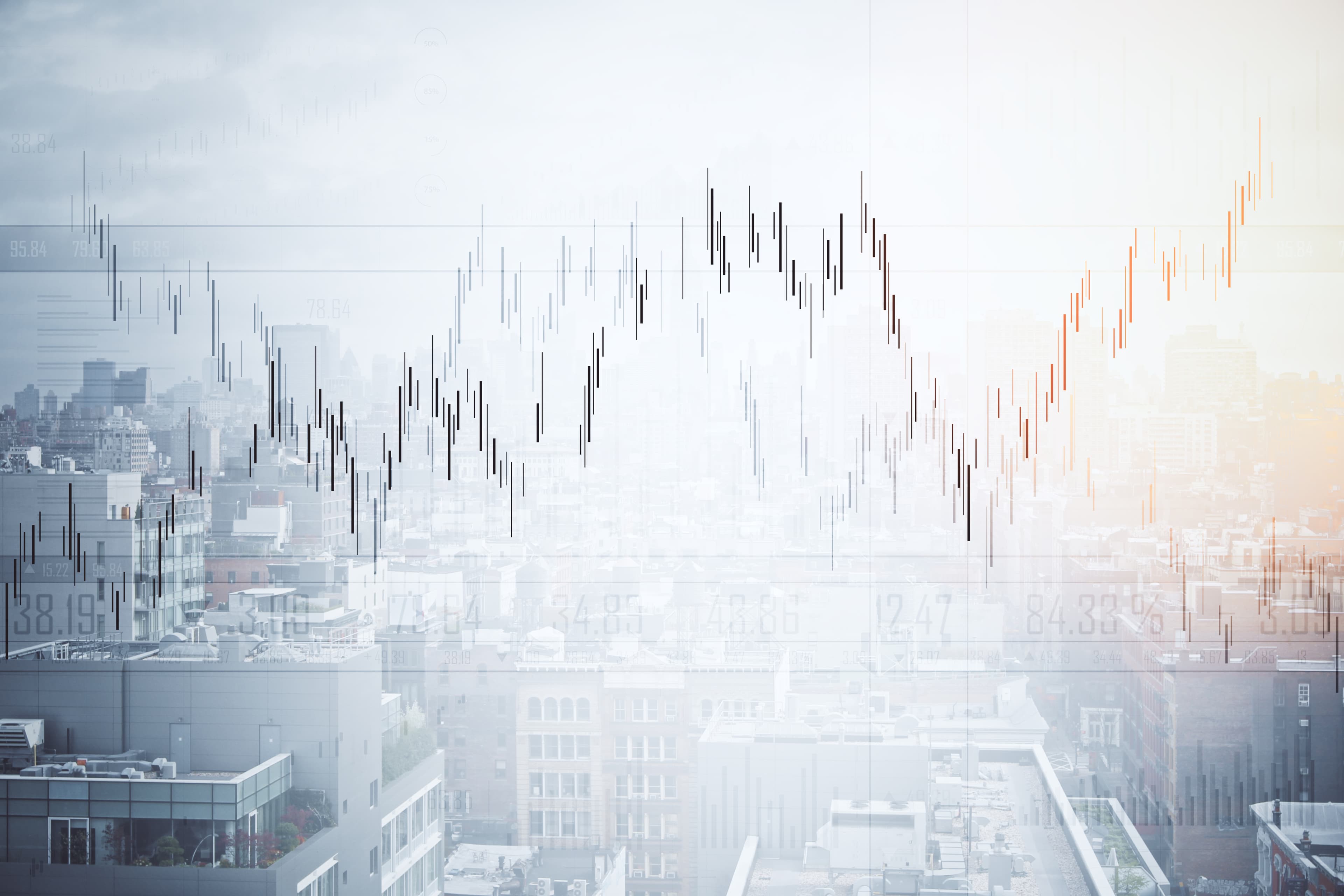 The Amazon.ca Playbook: Protecting Your Brand from Unauthorized Grey-Market Sellers.
